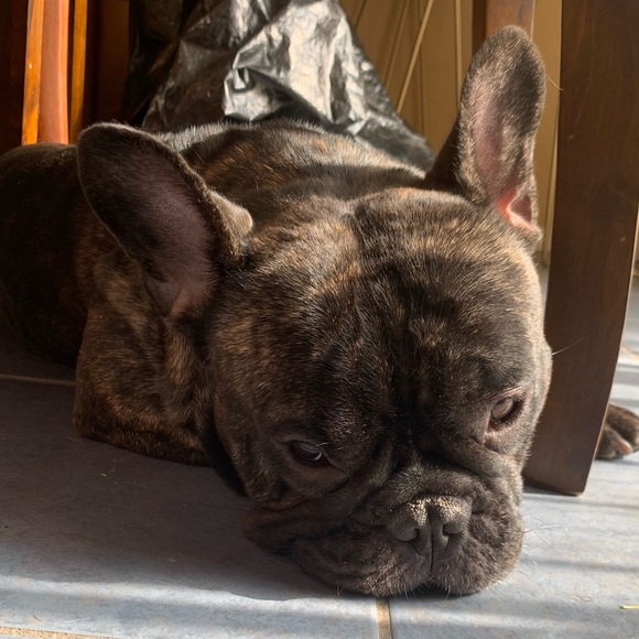 Meet your Posher, Jka - Picture 1 of 2